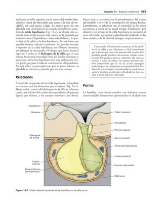 154017468-Anatomia-Humana-Garcia-Porrero-pdf.pdf