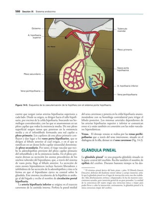 154017468-Anatomia-Humana-Garcia-Porrero-pdf.pdf