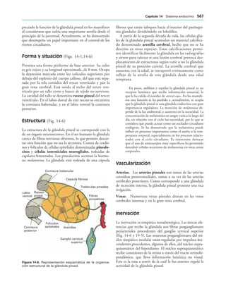 154017468-Anatomia-Humana-Garcia-Porrero-pdf.pdf