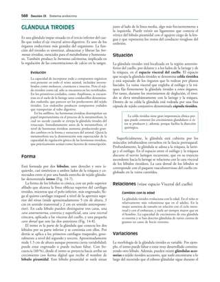 154017468-Anatomia-Humana-Garcia-Porrero-pdf.pdf