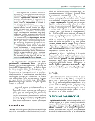 154017468-Anatomia-Humana-Garcia-Porrero-pdf.pdf