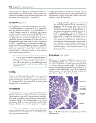154017468-Anatomia-Humana-Garcia-Porrero-pdf.pdf