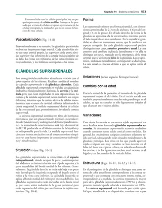 154017468-Anatomia-Humana-Garcia-Porrero-pdf.pdf