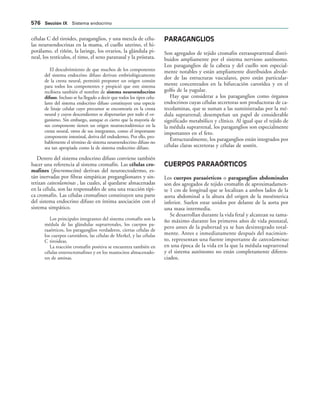 154017468-Anatomia-Humana-Garcia-Porrero-pdf.pdf
