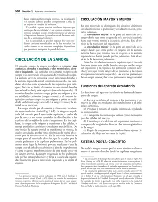 154017468-Anatomia-Humana-Garcia-Porrero-pdf.pdf