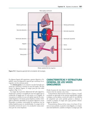 154017468-Anatomia-Humana-Garcia-Porrero-pdf.pdf