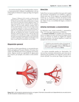 154017468-Anatomia-Humana-Garcia-Porrero-pdf.pdf