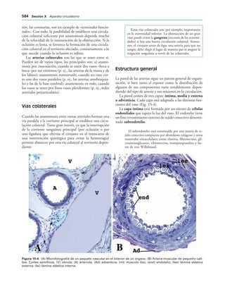 154017468-Anatomia-Humana-Garcia-Porrero-pdf.pdf