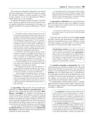 154017468-Anatomia-Humana-Garcia-Porrero-pdf.pdf