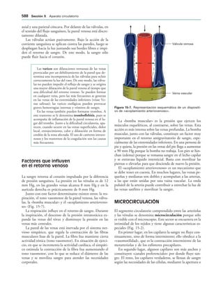154017468-Anatomia-Humana-Garcia-Porrero-pdf.pdf