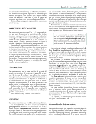 154017468-Anatomia-Humana-Garcia-Porrero-pdf.pdf