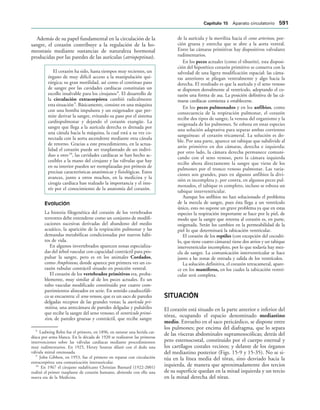 154017468-Anatomia-Humana-Garcia-Porrero-pdf.pdf