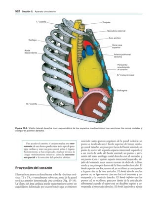 154017468-Anatomia-Humana-Garcia-Porrero-pdf.pdf