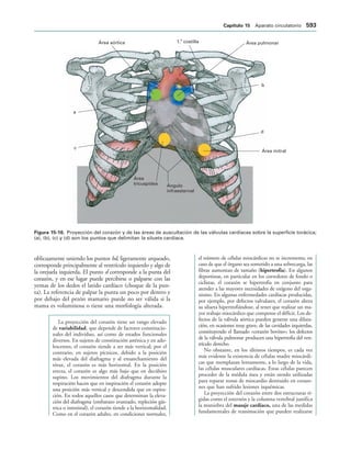 154017468-Anatomia-Humana-Garcia-Porrero-pdf.pdf