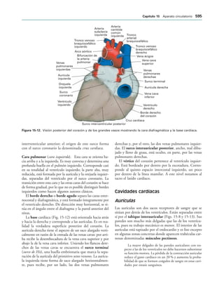 154017468-Anatomia-Humana-Garcia-Porrero-pdf.pdf