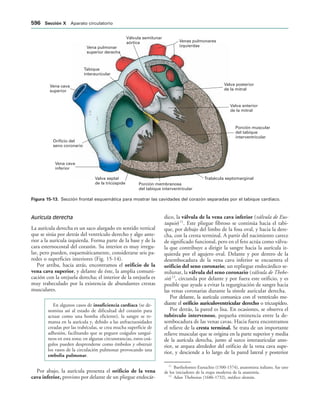 154017468-Anatomia-Humana-Garcia-Porrero-pdf.pdf