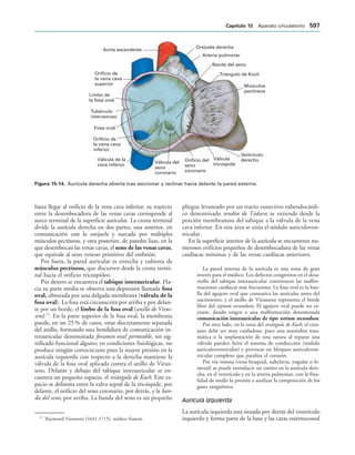 154017468-Anatomia-Humana-Garcia-Porrero-pdf.pdf