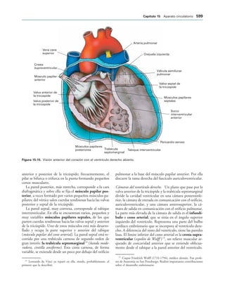 154017468-Anatomia-Humana-Garcia-Porrero-pdf.pdf