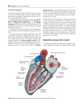 154017468-Anatomia-Humana-Garcia-Porrero-pdf.pdf
