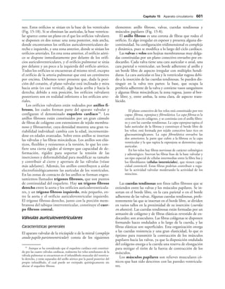 154017468-Anatomia-Humana-Garcia-Porrero-pdf.pdf