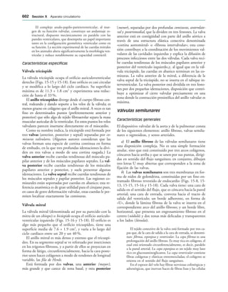 154017468-Anatomia-Humana-Garcia-Porrero-pdf.pdf