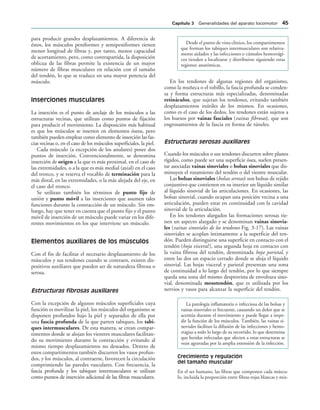 para producir grandes desplazamientos. A diferencia de
éstos, los músculos peniformes y semipeniformes tienen
menor longitud de fibras y, por tanto, menor capacidad
de acortamiento, pero, como contrapartida, la disposición
oblicua de las fibras permite la existencia de un mayor
número de fibras musculares en relación con el tamaño
del tendón, lo que se traduce en una mayor potencia del
músculo.
Inserciones musculares
La inserción es el punto de anclaje de los músculos a las
estructuras vecinas, que utilizan como puntos de fijación
para producir el movimiento. La disposición más habitual
es que los músculos se inserten en elementos óseos, pero
también pueden emplear como elemento de inserción las fas-
cias vecinas o, en el caso de los músculos superficiales, la piel.
Cada músculo (a excepción de los anulares) posee dos
puntos de inserción. Convencionalmente, se denomina
inserción de origen a la que es más proximal, en el caso de
las extremidades, o a la que es más medial (axial) en el caso
del tronco, y se reserva el vocablo de terminación para la
más distal, en las extremidades, o la más alejada del eje, en
el caso del tronco.
Se utilizan también los términos de punto fijo de
unión y punto móvil a las inserciones que asumen tales
funciones durante la contracción de un músculo. Sin em-
bargo, hay que tener en cuenta que el punto fijo y el punto
móvil de inserción de un músculo puede variar en los dife-
rentes movimientos en los que interviene un músculo.
Elementos auxiliares de los músculos
Con el fin de facilitar el necesario desplazamiento de los
músculos y sus tendones cuando se contraen, existen dis-
positivos auxiliares que pueden ser de naturaleza fibrosa o
serosa.
Estructuras fibrosas auxiliares
Con la excepción de algunos músculos superficiales cuya
función es movilizar la piel, los músculos del organismo se
disponen profundos bajo la piel y separados de ella por
una fascia profunda de la que parten tabiques, los tabi-
ques intermusculares. De esta manera, se crean compar-
timentos donde se alojan los vientres musculares facilitan-
do su movimiento durante la contracción y evitando al
mismo tiempo desplazamientos no deseados. Dentro de
estos compartimentos también discurren los vasos profun-
dos, y los músculos, al contraerse, favorecen la circulación
comprimiendo las paredes vasculares. Con frecuencia, la
fascia profunda y los tabiques intermusculares se utilizan
como puntos de inserción adicional de las fibras musculares.
Desde el punto de vista clínico, los compartimentos
que forman los tabiques intermusculares son relativa-
mente aislados y las infecciones o cúmulos hemorrági-
cos tienden a localizarse y distribuirse siguiendo estas
regiones anatómicas.
En los tendones de algunas regiones del organismo,
como la muñeca o el tobillo, la fascia profunda se conden-
sa y forma estructuras más especializadas, denominadas
retináculos, que sujetan los tendones, evitando también
desplazamientos inútiles de los mismos. En ocasiones,
como es el caso de los dedos, los tendones están sujetos a
los huesos por vainas fasciales (vainas fibrosas), que son
engrosamientos de la fascia en forma de túneles.
Estructuras serosas auxiliares
Cuando los músculos o sus tendones discurren sobre planos
rígidos, como puede ser una superficie ósea, suelen presen-
tar asociadas vainas sinoviales o bolsas sinoviales que dis-
minuyen el rozamiento del tendón o del vientre muscular.
Las bolsas sinoviales (bolsas serosas) son bolsas de tejido
conjuntivo que contienen en su interior un líquido similar
al líquido sinovial de las articulaciones. En ocasiones, las
bolsas sinovial, cuando ocupan una posición vecina a una
articulación, pueden estar en continuidad con la cavidad
sinovial de la articulación.
En los tendones alargados las formaciones serosas tie-
nen un aspecto alargado y se denominan vainas sinovia-
les (vainas sinoviales de los tendones Fig. 3-17). Las vainas
sinoviales se acoplan íntimamente a la superficie del ten-
dón. Pueden distinguirse una superficie en contacto con el
tendón (hoja visceral ), una segunda hoja en contacto con
la vaina fibrosa del tendón, denominada hoja parietal, y
entre las dos un espacio cerrado donde se aloja el líquido
sinovial. Las hojas visceral y parietal presentan una zona
de continuidad a lo largo del tendón, por lo que siempre
queda una zona del mismo desprovista de envoltura sino-
vial, denominada mesotendón, que es utilizada por los
nervios y vasos para alcanzar la superficie del tendón.
La patología inflamatoria o infecciosa de las bolsas y
vainas sinoviales es frecuente, causando un dolor que se
acentúa durante el movimiento y puede llegar a impe-
dir la función de los músculos. También, las vainas si-
noviales facilitan la difusión de las infecciones y hemo-
rragias a todo lo largo de su recorrido, lo que determina
que heridas infectadas que afecten a estas estructuras se
vean agravadas por la amplia extensión de la infección.
Crecimiento y regulación
del tamaño muscular
En el ser humano, las fibras que componen cada múscu-
lo, incluida la proporción entre fibras rojas blancas y mix-
#APÓTULO  Generalidades del aparato locomotor 
 