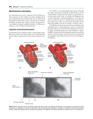 154017468-Anatomia-Humana-Garcia-Porrero-pdf.pdf