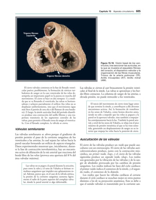 154017468-Anatomia-Humana-Garcia-Porrero-pdf.pdf