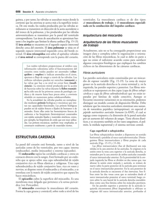 154017468-Anatomia-Humana-Garcia-Porrero-pdf.pdf