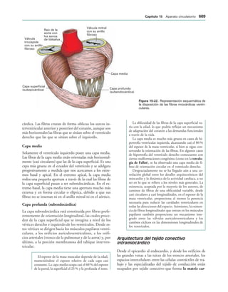 154017468-Anatomia-Humana-Garcia-Porrero-pdf.pdf