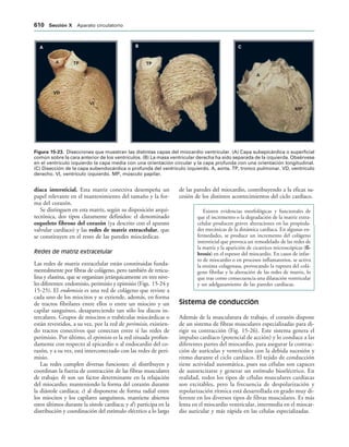 154017468-Anatomia-Humana-Garcia-Porrero-pdf.pdf