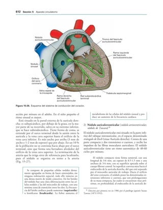 154017468-Anatomia-Humana-Garcia-Porrero-pdf.pdf