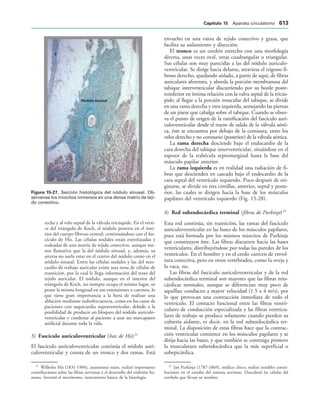 154017468-Anatomia-Humana-Garcia-Porrero-pdf.pdf
