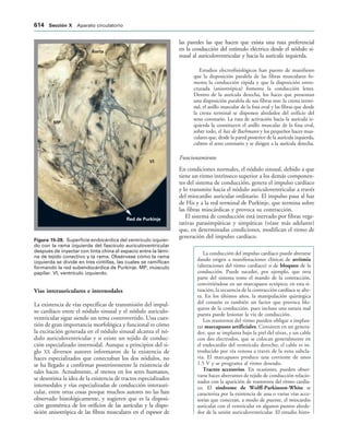 154017468-Anatomia-Humana-Garcia-Porrero-pdf.pdf