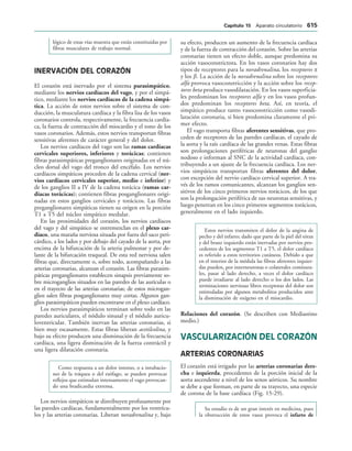 154017468-Anatomia-Humana-Garcia-Porrero-pdf.pdf