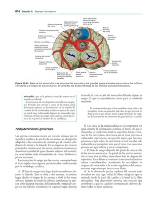 154017468-Anatomia-Humana-Garcia-Porrero-pdf.pdf