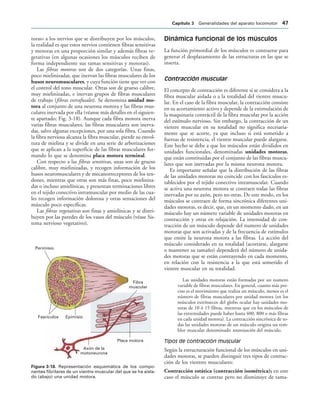 Perimisio
Fascículos Epimisio
Fibra
muscular
Placa motora
Axón de la
motoneurona
IGURA   Representación esquemática de los compo-
nentes fibrilares de un vientre muscular del que se ha aisla-
do (abajo) una unidad motora.
toras» a los nervios que se distribuyen por los músculos,
la realidad es que estos nervios contienen fibras sensitivas
y motoras en una proporción similar y además fibras ve-
getativas (en algunas ocasiones los músculos reciben de
forma independiente sus ramas sensitivas y motoras).
Las fibras motoras son de dos categorías. Unas finas,
poco mielinizadas, que inervan las fibras musculares de los
husos neuromusculares, y cuya función tiene que ver con
el control del tono muscular. Otras son de grueso calibre,
muy mielinizadas, e inervan grupos de fibras musculares
de trabajo (fibras extrafusales). Se denomina unidad mo-
tora al conjunto de una neurona motora y las fibras mus-
culares inervada por ella (véanse más detalles en el siguien-
te apartado; Fig. 3-18). Aunque cada fibra motora inerva
varias fibras musculares, las fibras musculares son inerva-
das, salvo algunas excepciones, por una sola fibra. Cuando
la fibra nerviosa alcanza la fibra muscular, pierde su envol-
tura de mielina y se divide en una serie de arborizaciones
que se aplican a la superficie de las fibras musculares for-
mando lo que se denomina placa motora terminal.
Con respecto a las fibras sensitivas, unas son de grueso
calibre, muy mielinizadas, y recogen información de los
husos neuromusculares y de mecanorreceptores de los ten-
dones, mientras que otras son más finas, poco mieliniza-
das o incluso amielínicas, y presentan terminaciones libres
en el tejido conectivo intramuscular por medio de las cua-
les recogen información dolorosa y otras sensaciones del
músculo poco específicas.
Las fibras vegetativas son finas y amielínicas y se distri-
buyen por las paredes de los vasos del músculo (véase Sis-
tema nervioso vegetativo).
Dinámica funcional de los músculos
La función primordial de los músculos es contraerse para
generar el desplazamiento de las estructuras en las que se
inserta.
Contracción muscular
El concepto de contracción es diferente si se considera a la
fibra muscular aislada o a la totalidad del vientre muscu-
lar. En el caso de la fibra muscular, la contracción consiste
en su acortamiento activo y depende de la estimulación de
la maquinaria contráctil de la fibra muscular por la acción
del estímulo nervioso. Sin embargo, la contracción de un
vientre muscular en su totalidad no significa necesaria-
mente que se acorte, ya que incluso si está sometido a
fuerzas de resistencia, el vientre muscular puede alargarse.
Este hecho se debe a que los músculos están divididos en
unidades funcionales, denominadas unidades motoras,
que están constituidas por el conjunto de las fibras muscu-
lares que son inervadas por la misma neurona motora.
Es importante señalar que la distribución de las fibras
de las unidades motoras no coincide con los fascículos es-
tablecidos por el tejido conectivo intramuscular. Cuando
se activa una neurona motora se contraen todas las fibras
inervadas por su axón, pero no otras. De este modo, en los
músculos se contraen de forma sincrónica diferentes uni-
dades motoras, es decir, que, en un momento dado, en un
músculo hay un número variable de unidades motoras en
contracción y otras en relajación. La intensidad de con-
tracción de un músculo depende del numero de unidades
motoras que son activadas y de la frecuencia de estímulos
que emite la neurona motora a las fibras. La acción del
músculo considerado en su totalidad (acortarse, alargarse
o mantener su tamaño) dependerá del número de unida-
des motoras que se están contrayendo en cada momento,
en relación con la resistencia a la que está sometido el
vientre muscular en su totalidad.
Las unidades motoras están formadas por un numero
variable de fibras musculares. En general, cuanto más pre-
ciso es el movimiento que realiza un músculo, menor es el
número de fibras musculares por unidad motora (en los
músculos extrínsecos del globo ocular hay unidades mo-
toras de 10 ó 15 fibras, mientras que en los músculos de
las extremidades puede haber hasta 400, 800 o más fibras
en cada unidad motora). La contracción sincrónica de to-
das las unidades motoras de un músculo origina un tem-
blor muscular denominado tetanización del músculo.
Tipos de contracción muscular
Según la estructuración funcional de los músculos en uni-
dades motoras, se pueden distinguir tres tipos de contrac-
ción de los vientres musculares:
Contracción estática (contracción isométrica); en este
caso el músculo se contrae pero no disminuye de tama-
#APÓTULO  Generalidades del aparato locomotor 
 