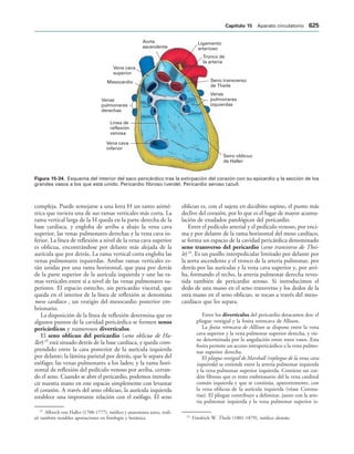 154017468-Anatomia-Humana-Garcia-Porrero-pdf.pdf