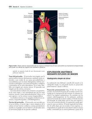 154017468-Anatomia-Humana-Garcia-Porrero-pdf.pdf