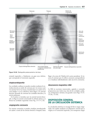 154017468-Anatomia-Humana-Garcia-Porrero-pdf.pdf