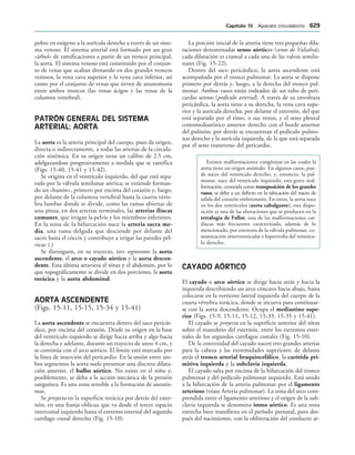 154017468-Anatomia-Humana-Garcia-Porrero-pdf.pdf