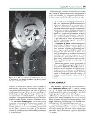 154017468-Anatomia-Humana-Garcia-Porrero-pdf.pdf