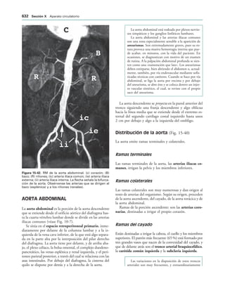 154017468-Anatomia-Humana-Garcia-Porrero-pdf.pdf