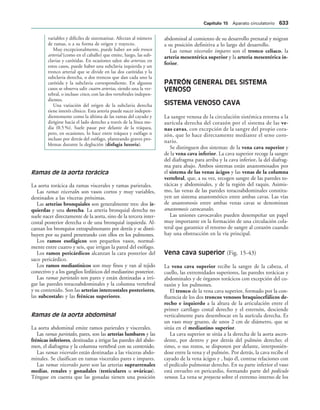 154017468-Anatomia-Humana-Garcia-Porrero-pdf.pdf