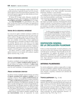 154017468-Anatomia-Humana-Garcia-Porrero-pdf.pdf