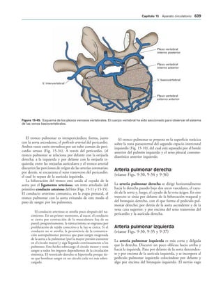 154017468-Anatomia-Humana-Garcia-Porrero-pdf.pdf