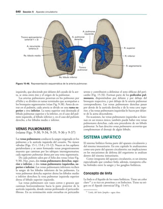 154017468-Anatomia-Humana-Garcia-Porrero-pdf.pdf