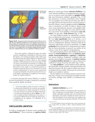 154017468-Anatomia-Humana-Garcia-Porrero-pdf.pdf