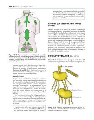 154017468-Anatomia-Humana-Garcia-Porrero-pdf.pdf