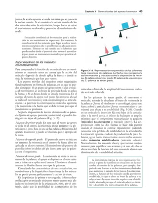 ! 
#
IGURA   Representación esquemática de los diferentes
tipos mecánicos de palancas. La flecha roja representa la
acción muscular y las cajas azules la disposición de la car-
ga. A) palanca de primer grado; B) palanca de segundo gra-
do; C) palanca de tercer grado.
juntos, la acción opuesta se anula mientras que se potencia
la acción común. Si se considera la acción común de los
dos músculos sobre la articulación, lo que hacen es evitar
el movimiento no deseado y potenciar el movimiento de-
seado.
Esta acción coordinada de los músculos para la realiza-
ción de un movimiento es importante. En ocasiones, la
coordinación de los músculos para llegar a realizar movi-
mientos complejos sólo es posible tras un adecuado entre-
namiento. Piénsese en este sentido en lo laborioso que
puede resultar desde el punto de vista motor el aprendiza-
je para tocar un instrumento musical o para practicar al-
gunos deportes.
Papel mecánico de los músculos
en el movimiento
Para comprender la función de un músculo en un movi-
miento es necesario tener en cuenta que la acción del
músculo depende de donde aplica la fuerza y donde se
sitúa la resistencia que hay que vencer.
Los puntos móviles del esqueleto están organizados
funcionalmente en forma de palancas, en las que se pue-
den distinguir: 1) un punto de apoyo sobre el que se reali-
za el movimiento; 2) un brazo de potencia donde se aplica
la fuerza; y 3) un brazo donde se sitúa la resistencia. En el
cuerpo, el punto de apoyo es el punto fijo en torno al cual
se realiza el movimiento y está constituido por las articula-
ciones. La potencia la constituyen los músculos agonistas
y la resistencia es la fuerza que se debe vencer para que el
movimiento se produzca.
Según la disposición de los tres elementos de las palan-
cas (punto de apoyo, potencia y resistencia) se pueden dis-
tinguir tres tipos de palancas (Fig. 3-19):
Palancas de primer grado. En este caso el punto de apoyo
se sitúa en el centro, la resistencia en un extremo y la po-
tencia en el otro. Esta es una de las palancas frecuentes del
aparato locomotor y puede ser ilustrada por el ejemplo de
la nuca.
Palancas de segundo grado. El punto de apoyo se sitúa en
un extremo, la resistencia en el centro y la fuerza debe ser
aplicada en el otro extremo. El movimiento de ponerse de
puntillas sobre los dedos del pie ilustra este tipo de palan-
cas en el organismo.
Palancas de tercer grado. La resistencia se sitúa en un ex-
tremo de la palanca, el apoyo se dispone en el otro extre-
mo y la fuerza se aplica en el centro. El codo en el movi-
miento de flexión ilustra este tipo de palancas.
Conociendo las características de una articulación, sus
movimientos y la disposición e inserciones de los múscu-
los se puede prever perfectamente la acción de éstos.
En las palancas de primer y tercer grado, la fuerza desa-
rrollada por un músculo será tanto mayor cuanto más ale-
jada esté su inserción de la articulación, pero, por el con-
trario, dado que la posibilidad de acortamiento de los
músculos es limitada, la amplitud del movimiento realiza-
do será más reducida.
En las palancas de tercer grado, al contraerse el
músculo, además de desplazar el brazo de resistencia de
la palanca (fuerza de «balanceo» o centrífuga), ejerce una
fuerza sobre la articulación (fuerza «transarticular» o cen-
trípeta) que afecta a su estabilidad (Fig. 3-20). Cuando
en un músculo la inserción fija está lejos de la articula-
ción y la móvil cerca, el efecto de balanceo es amplio,
mientras que el componente transarticular es pequeño
(músculos balanceadores o músculos «spurt»). La des-
proporción entre las dos fuerzas se hace más patente
cuando el músculo se contrae rápidamente pudiendo
ocasionar una pérdida de estabilidad en la articulación.
La situación opuesta, es decir, la producción de poco ba-
lanceo y gran fuerza transarticular, ocurre en los denomi-
nados músculos estabilizadores (músculos «shunt»).
Normalmente, los músculos shunt y spurt actúan conjun-
tamente para equilibrar sus acciones y si uno de ellos se
altera interfiere la función del otro causando además una
disminución de la estabilidad articular.
La importancia práctica de esta organización fun-
cional se pone de manifiesto en situaciones en las que
cambia el tamaño de las palancas, por ejemplo, des-
pués de una fractura o en los tratamientos diseñados
para aumentar el tamaño de los huesos. En estas situa-
ciones, la función de los músculos queda gravemente
modificada, ya que se altera su brazo de palanca y su
adaptación a la nueva situación requiere una rehabili-
tación adecuada para que el músculo adapte su tama-
ño y desarrollo a la nueva situación de la palanca.
#APÓTULO  Generalidades del aparato locomotor 
 